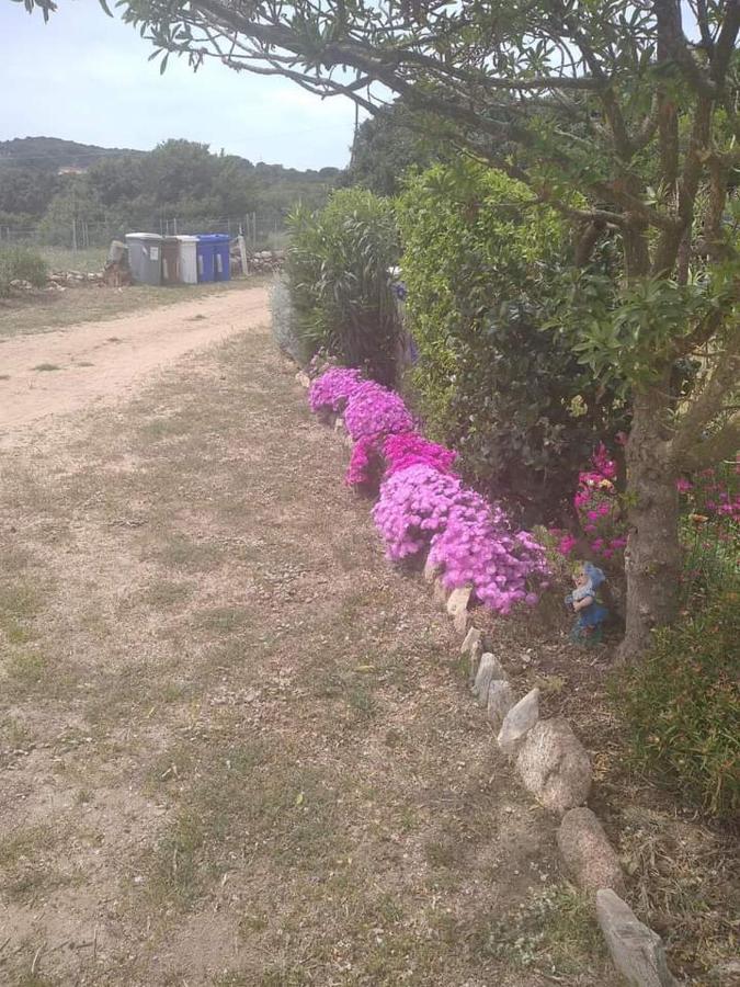 B&B Li Salcuneddi Aglientu Kültér fotó